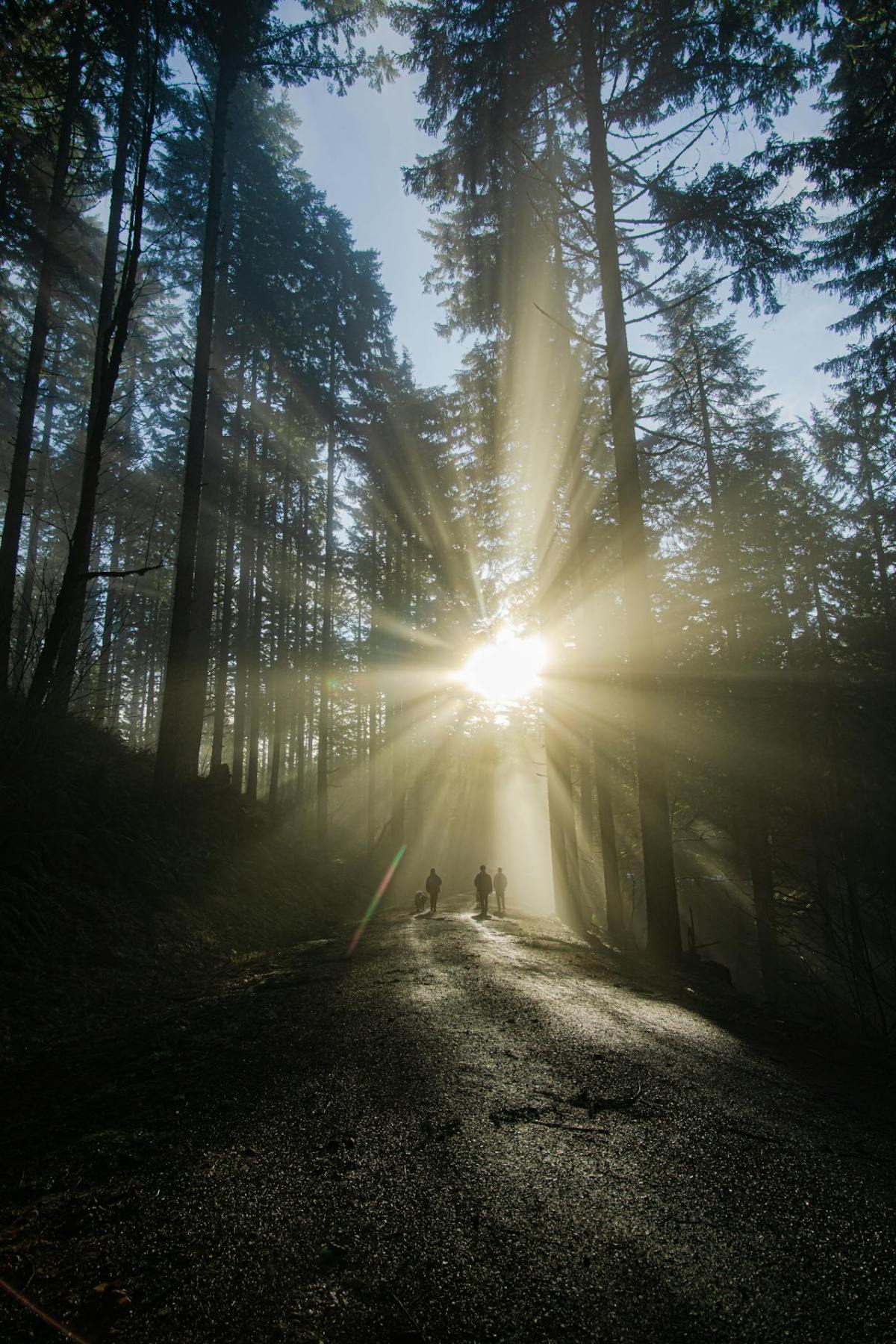 Living in Eastertide: What Do We Do After Easter&nbsp;Sunday?